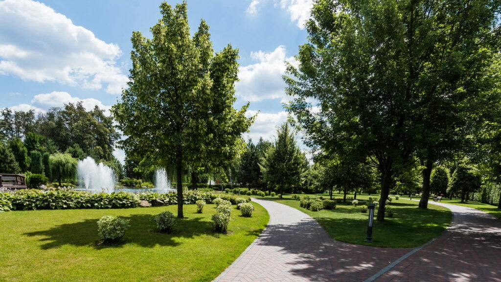 Essa é a árvore perfeita para ter no seu jardim, sem rachar o piso