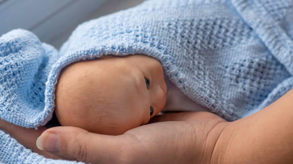 Bebê reborn em viagem de avião? Entenda a lei