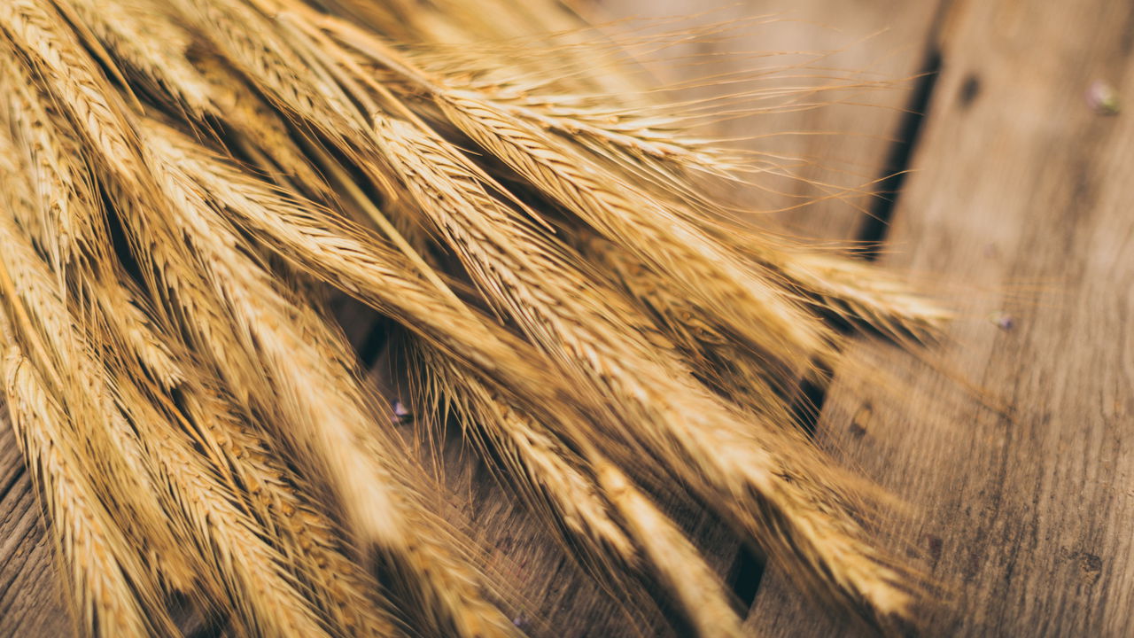 Muito além da cerveja, veja o que a cevada pode fazer pela sua saúde