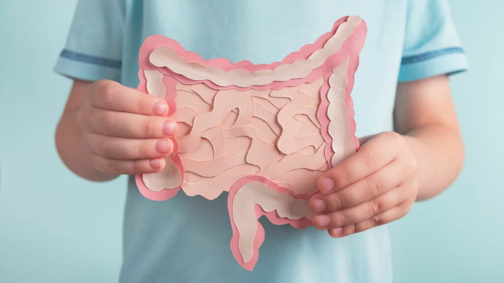8 dicas simples que transformam sua digestão naturalmente