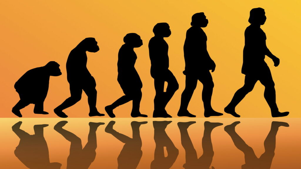 Será que vamos evoluir ou virar outra espécie no futuro?