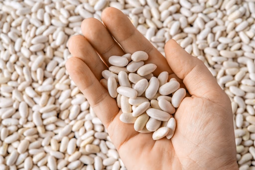 7 benefícios do feijão-branco para a saúde