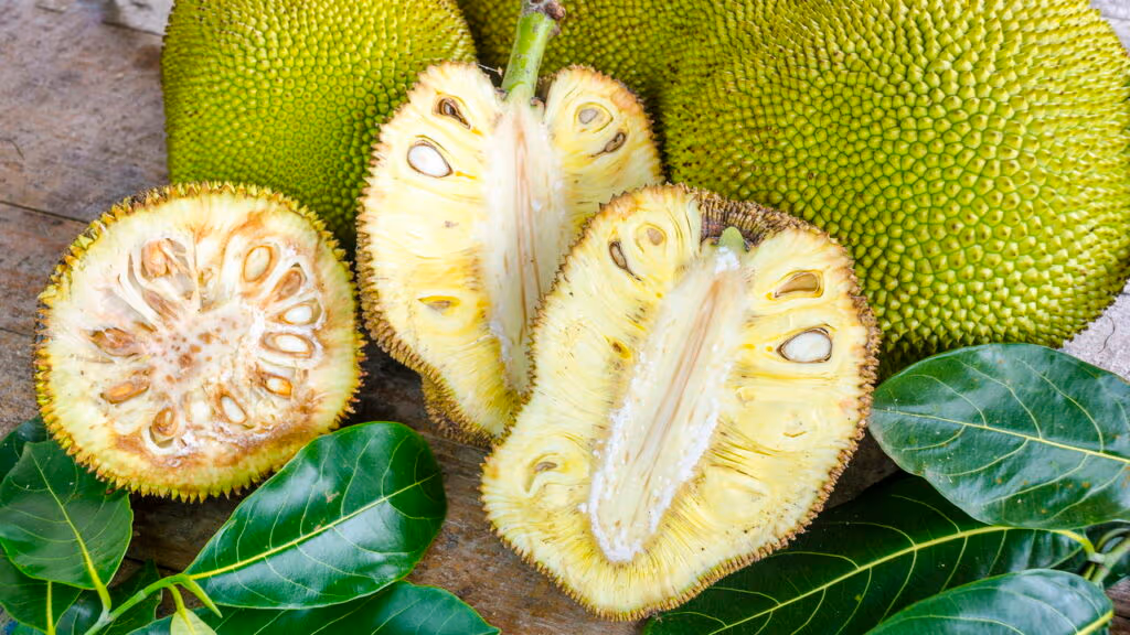 Essa fruta gigante é a maior do mundo e pesa mais de 40 kg