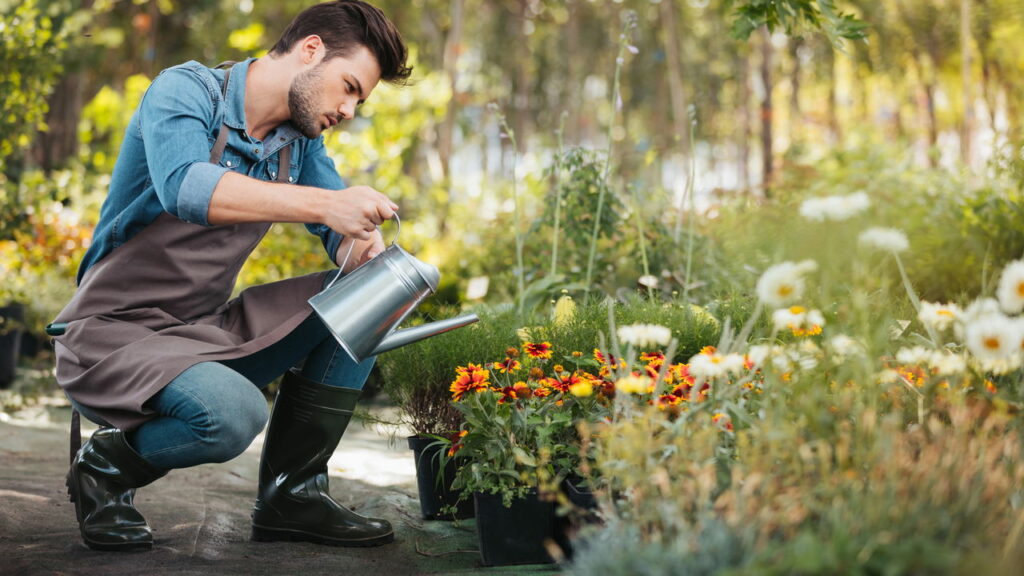 O maior erro que iniciantes cometem ao plantar em casa