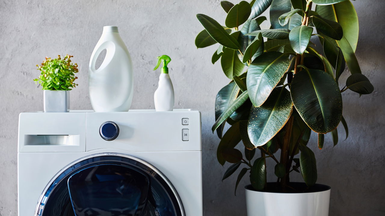 Você está lavando roupa errado e nem percebeu até agora