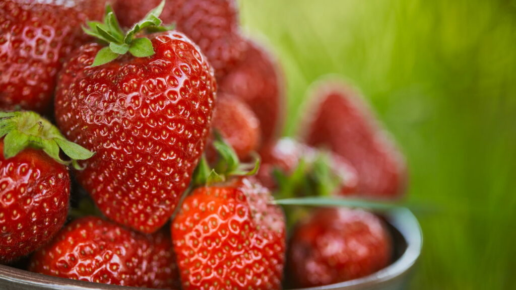 Esse alimento pode te tornar mais inteligente