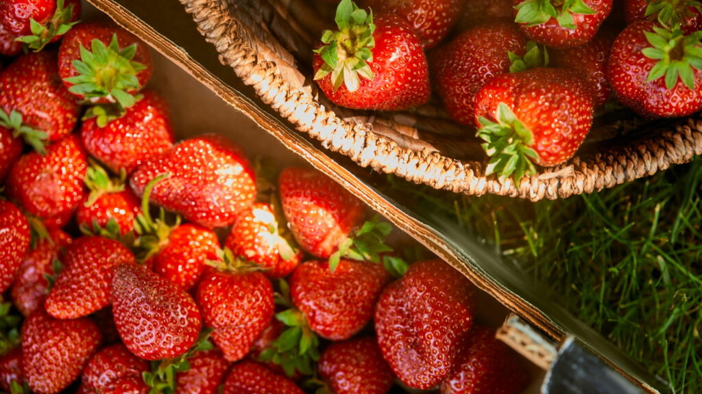 Nutricionistas recomendam estas frutas para diabéticos no café da manhã