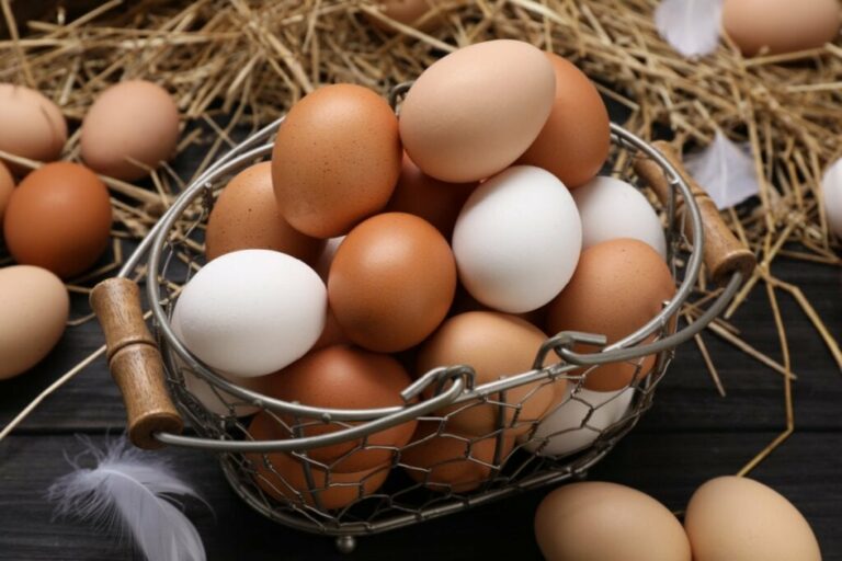 7 alimentos que ajudam a aumentar a energia