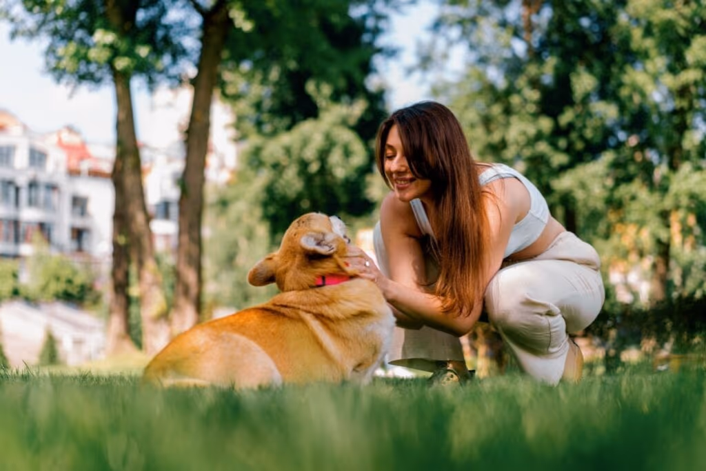 Saiba o que fazer quando o animal é picado por uma abelha