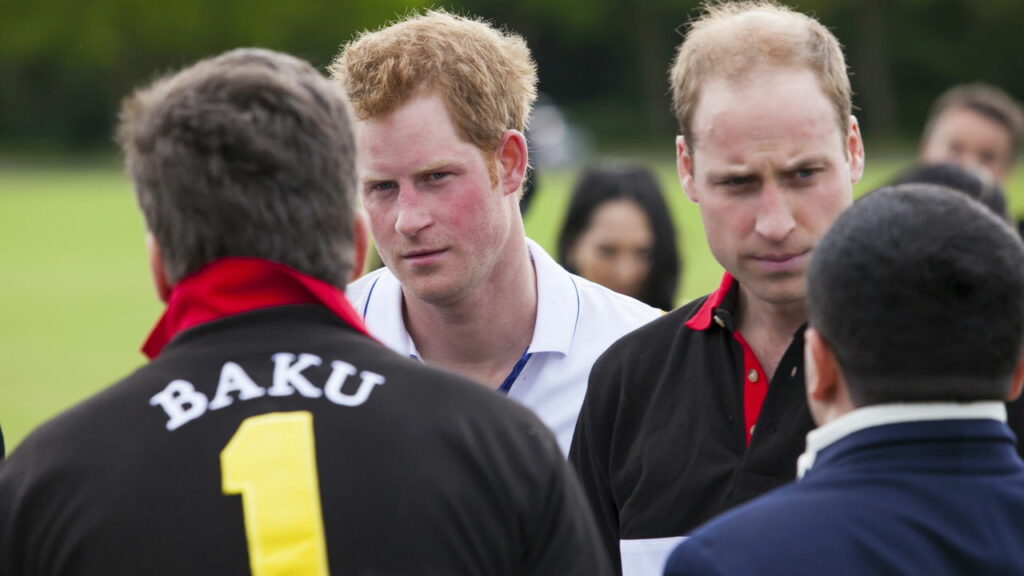 Príncipes William e Harry perdem herança milionária