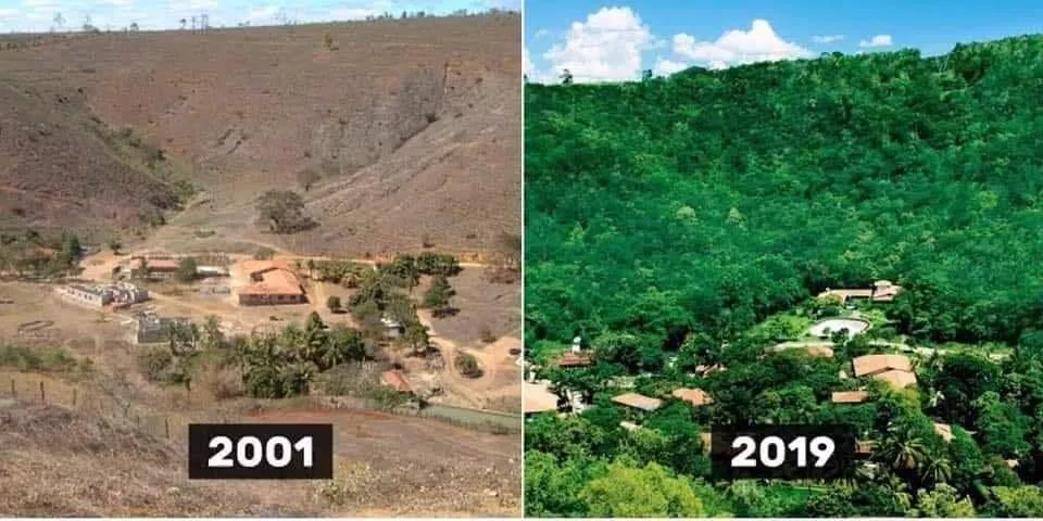 A cruzada ambiental de Sebastião Salgado no Vale do Rio Doce