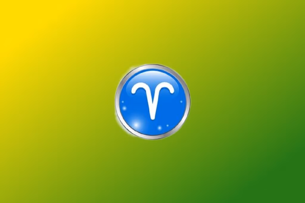 Veja as características do torcedor de cada signo do zodíaco