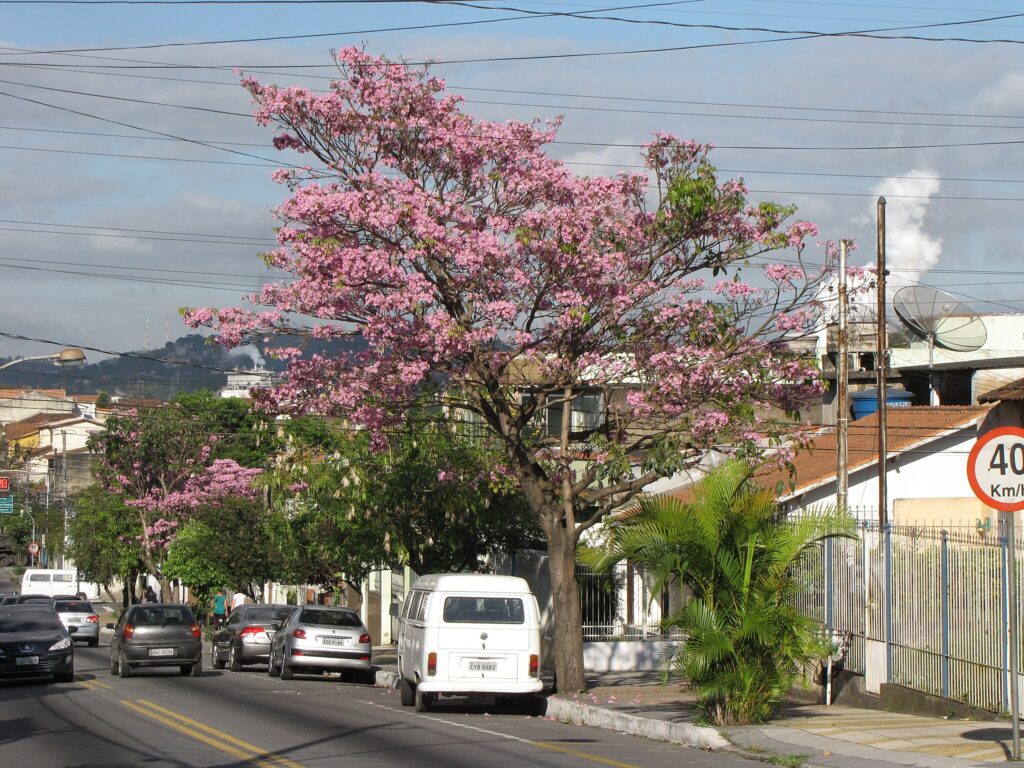 O segredo da cidade mais estruturada do interior do Rio