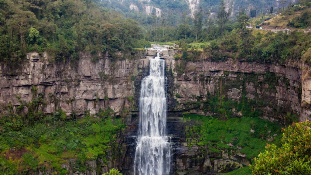 Achado histórico na Colômbia revela DNA mais raro do mundo