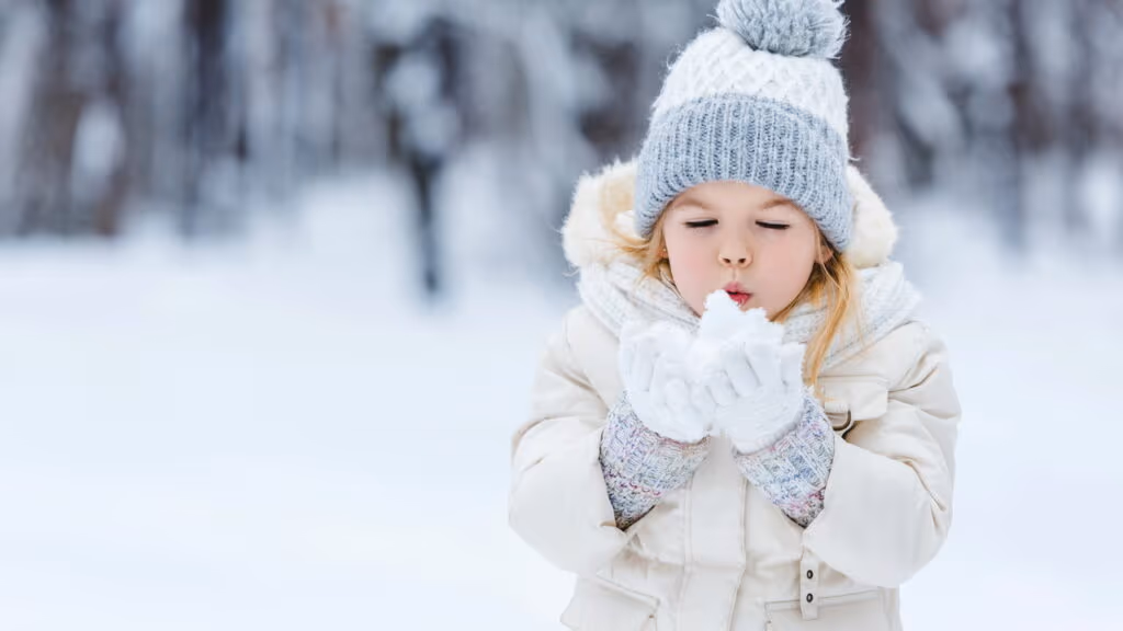 Alerta Inmet para forte geada no Sul do Brasil na 5°feira, 10