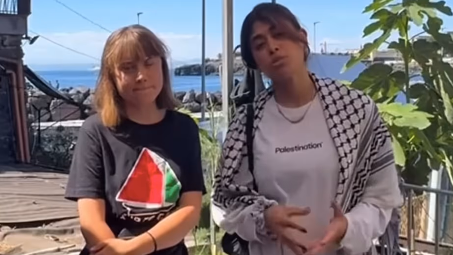 Eurodeputada que vai a Gaza com Greta pede ajuda a Lula