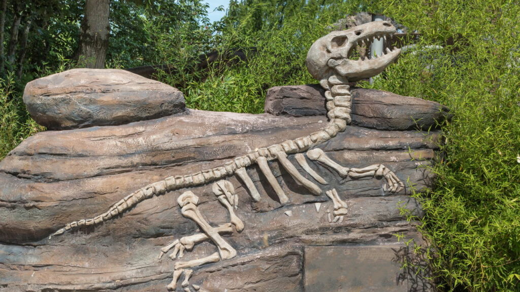 Cura do câncer pode estar nos fósseis de dinossauros, aponta pesquisa