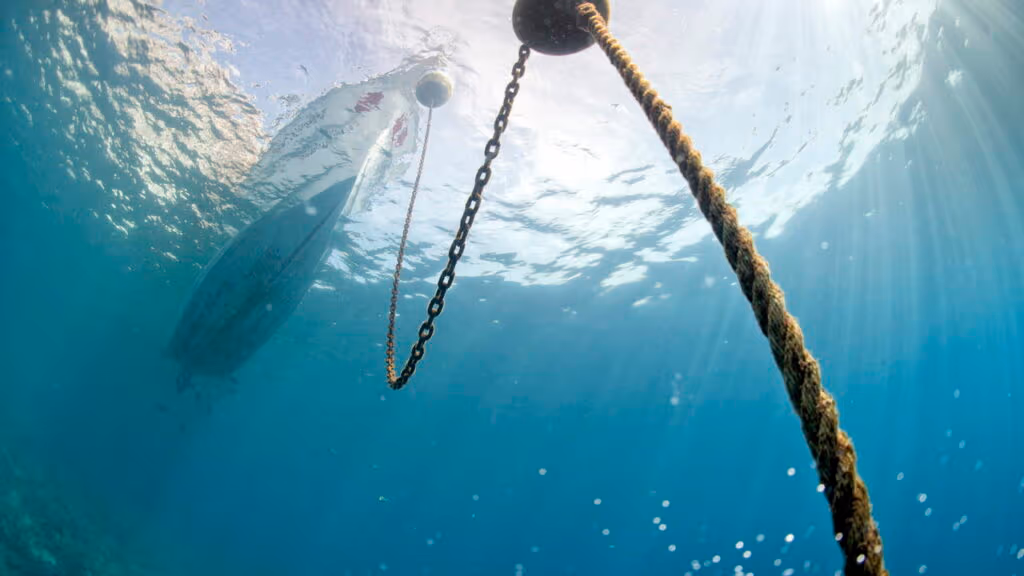 Danos causados aos oceanos por âncoras de navio é revelado em vídeo inédito