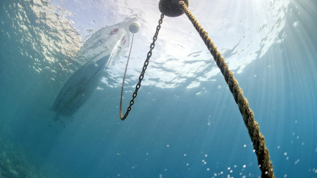 Danos causados aos oceanos por âncoras de navio é revelado em vídeo inédito