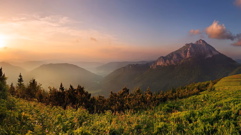 Estruturas misteriosas surgem em floresta nas nuvens e intrigam cientistas