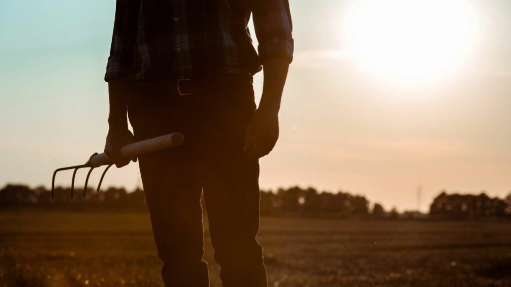 Governo quer se apropriar de Fazenda histórica para construções de casas populares