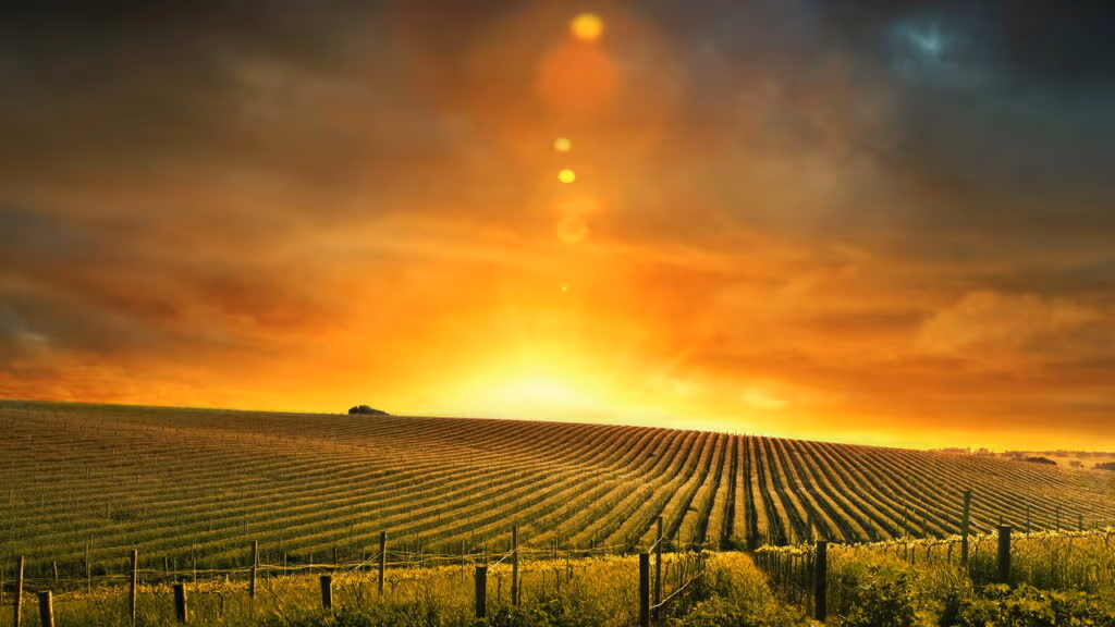 Governo quer se apropriar de Fazenda histórica para construções de casas populares