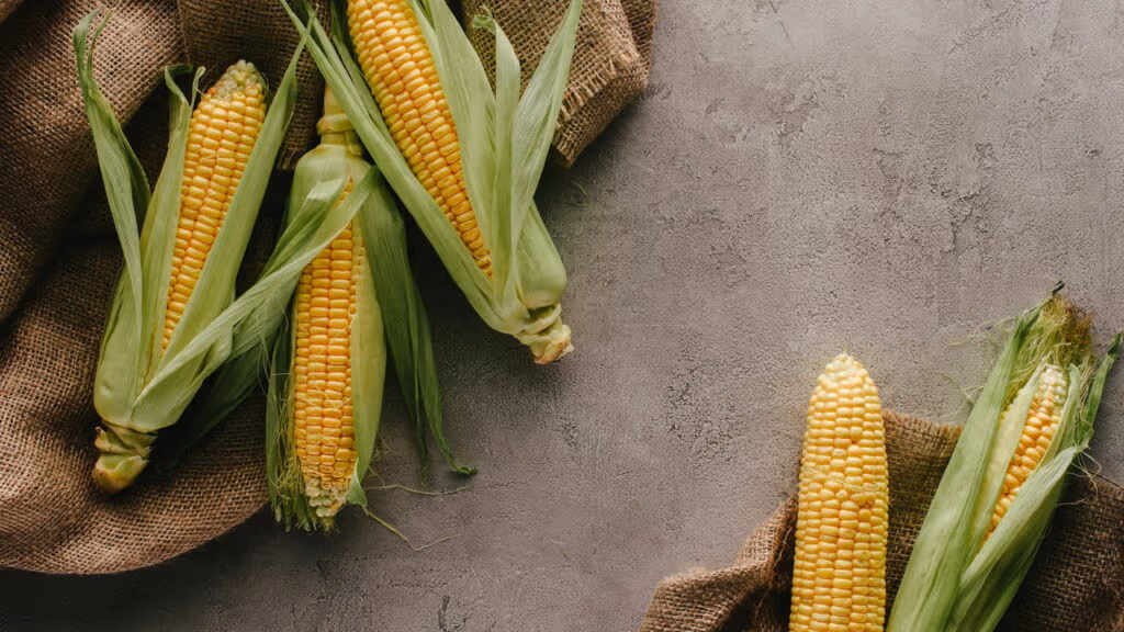 Homem é preso após cobrar de turista U$ 191 em dois milhos