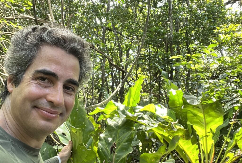 Paisagista propõe sistema para resgatar florestas nativas nas cidades