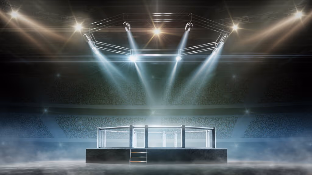 Quando o octógono precisou ser interrompido por motivos bizarros