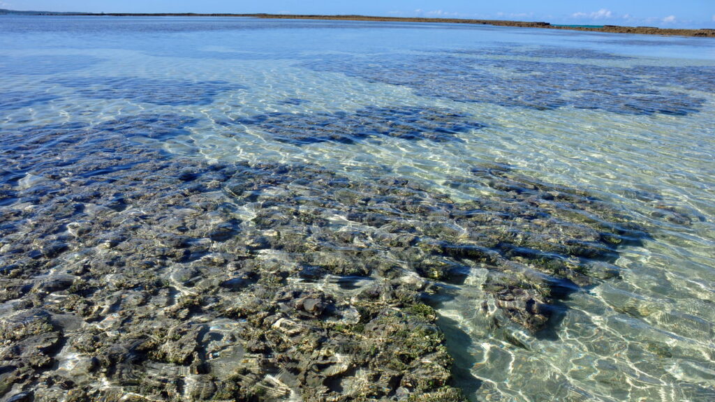 Este lugar no Nordeste surpreende com praias e proteção ambiental