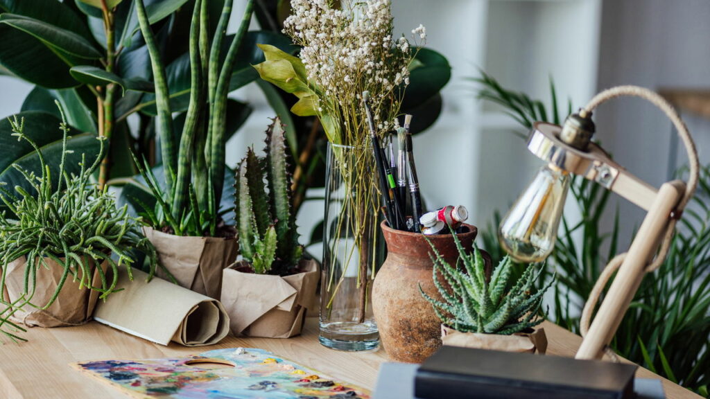 Essas plantas são perfeitas para você que não tem tempo para cuidar delas