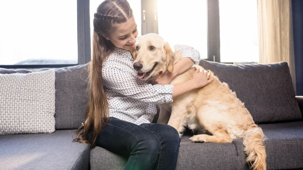 O que significa tratar um animal de estimação como um ser humano