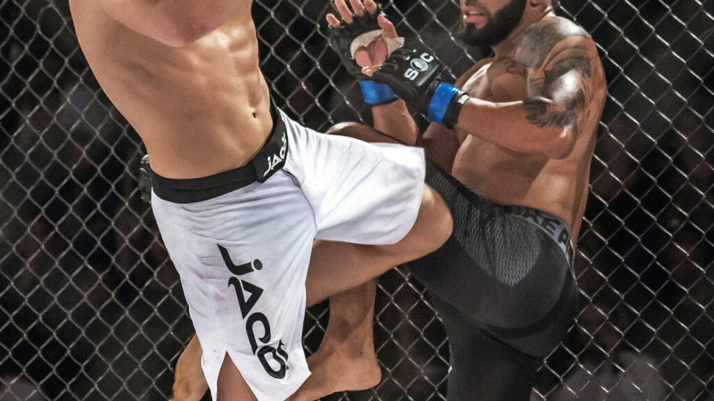 As primeiras profissões de lutadores antes da fama no UFC