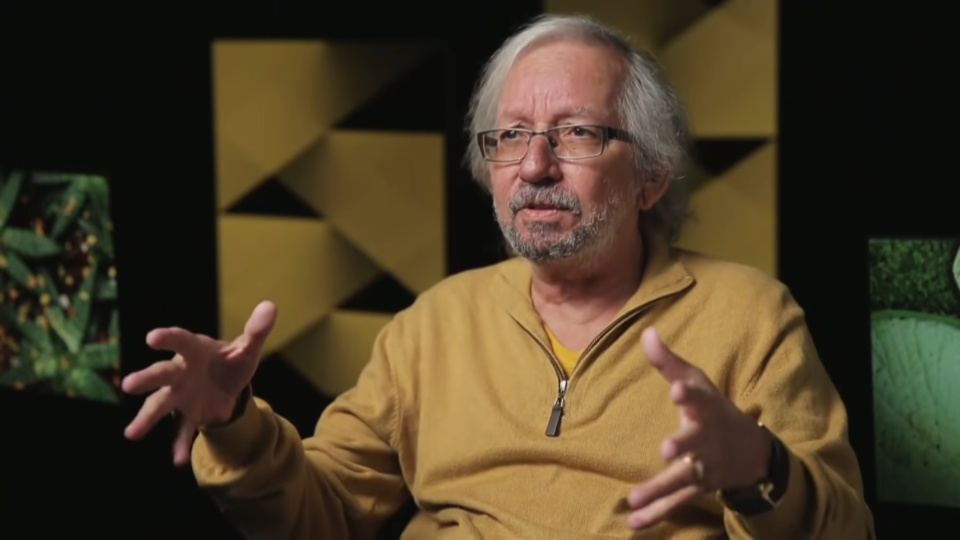 Um antropólogo (en)contra a tribo identitária