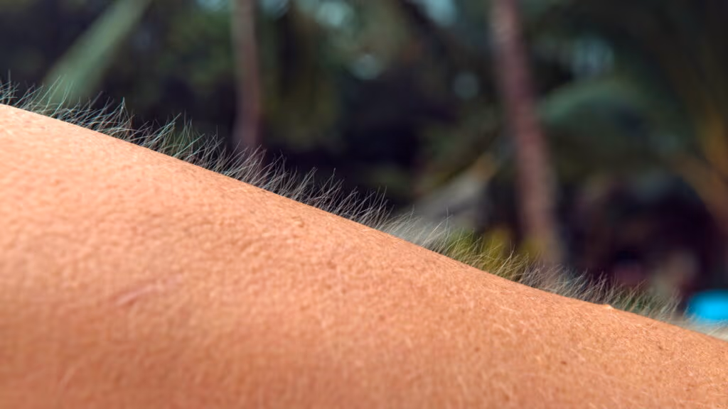 O que significa quando o corpo arrepia sem motivo aparente