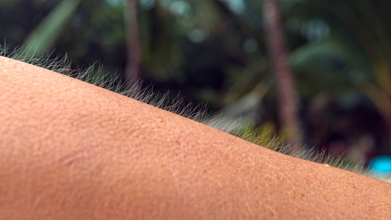 O que significa quando o corpo arrepia sem motivo aparente