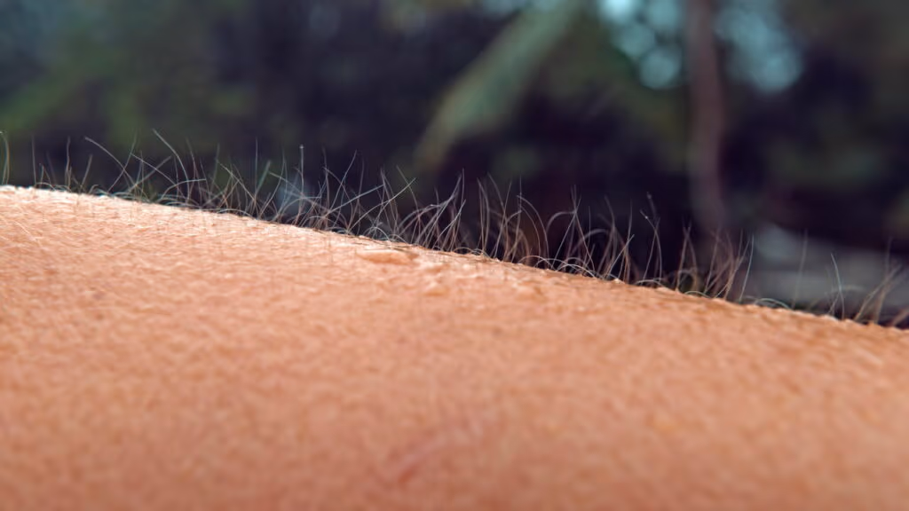 Por que sentimos arrepios com certos sons, como unhas em lousa?