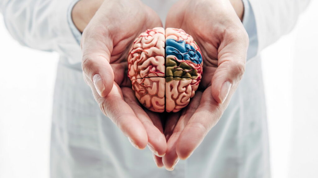 Seu corpo pode estar avisando sobre um AVC futuro