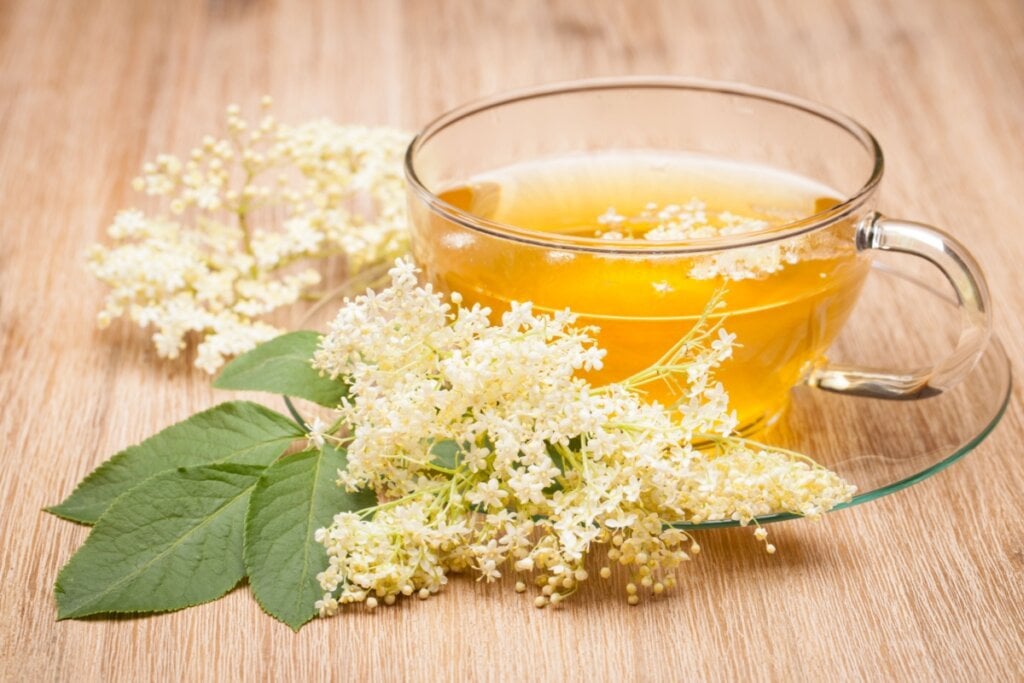 5 chás para ajudar a prevenir doenças no inverno