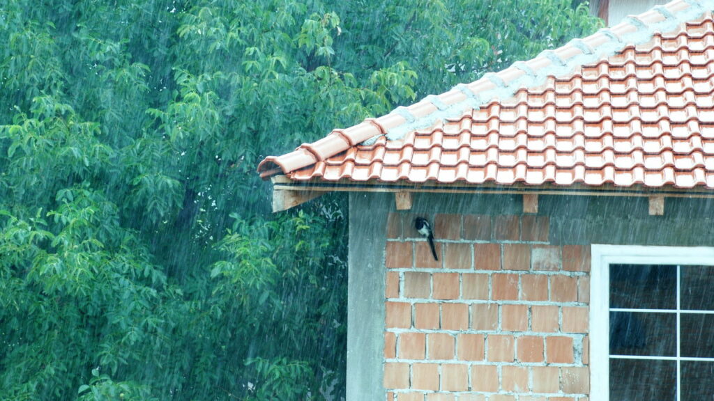 Chuvas e alagamentos geram estado de atenção em São Paulo