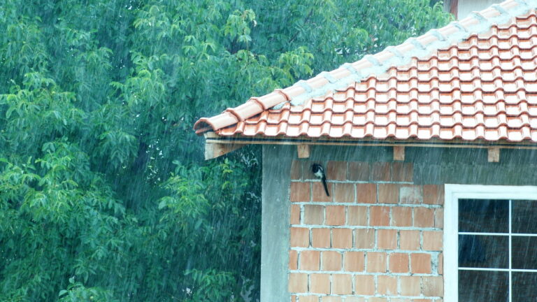 Imagem Item