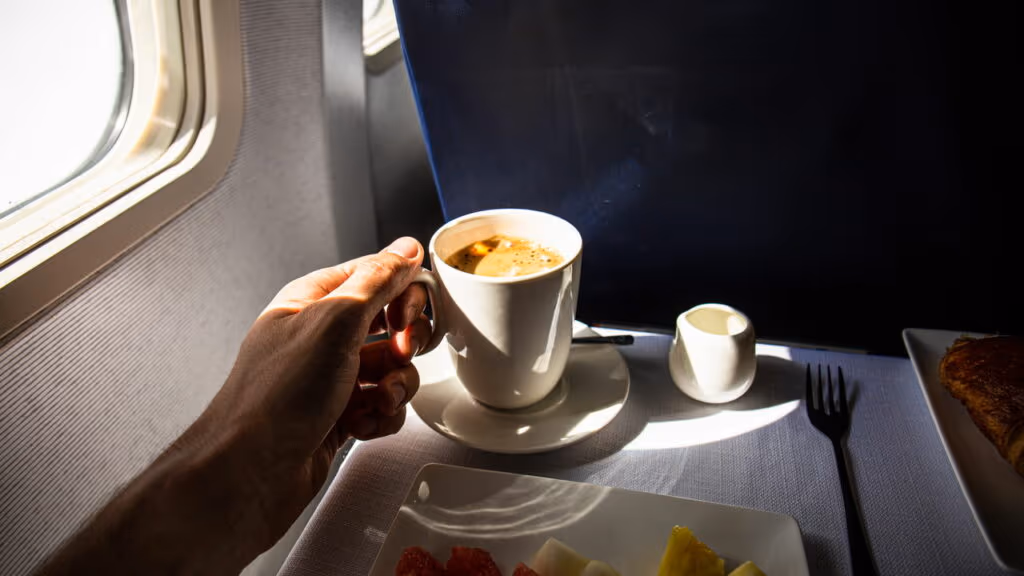 Quais tipos de comida podem ser levados no avião e como transportar