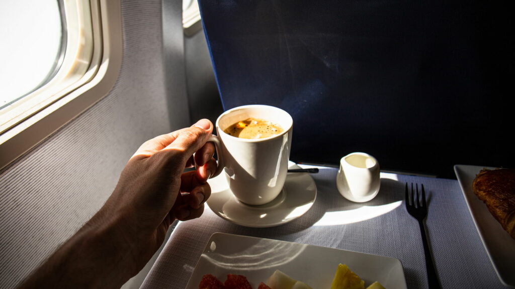Quais tipos de comida podem ser levados no avião e como transportar