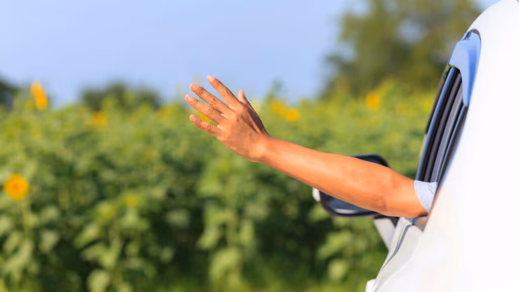 O que diz a lei sobre dirigir com o braço para fora da janela