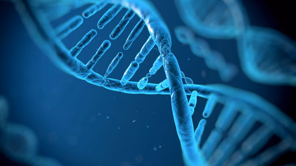 DNA revela linhagem desconhecida na América do Sul