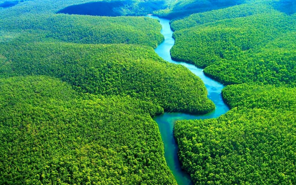 Experimento simula impacto da seca extrema na Floresta Amazônica