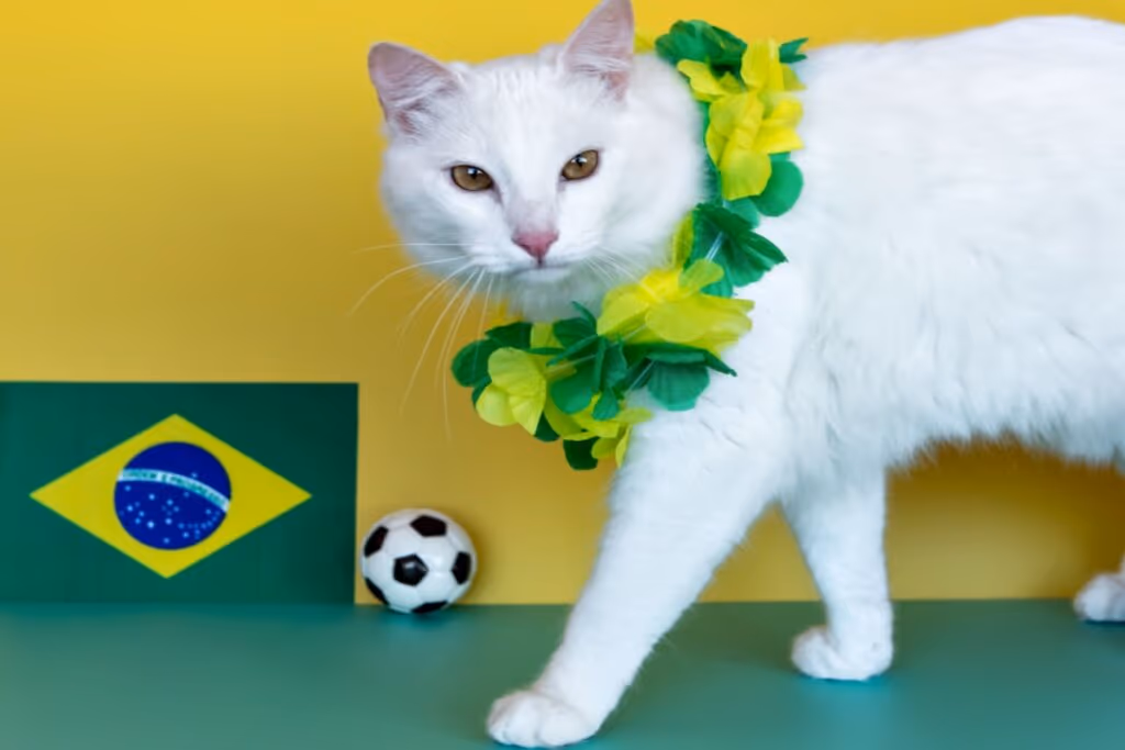 12 nomes de atletas para gatos