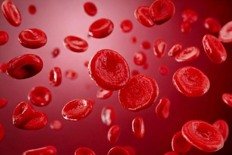 5 mitos e verdades sobre a leucemia