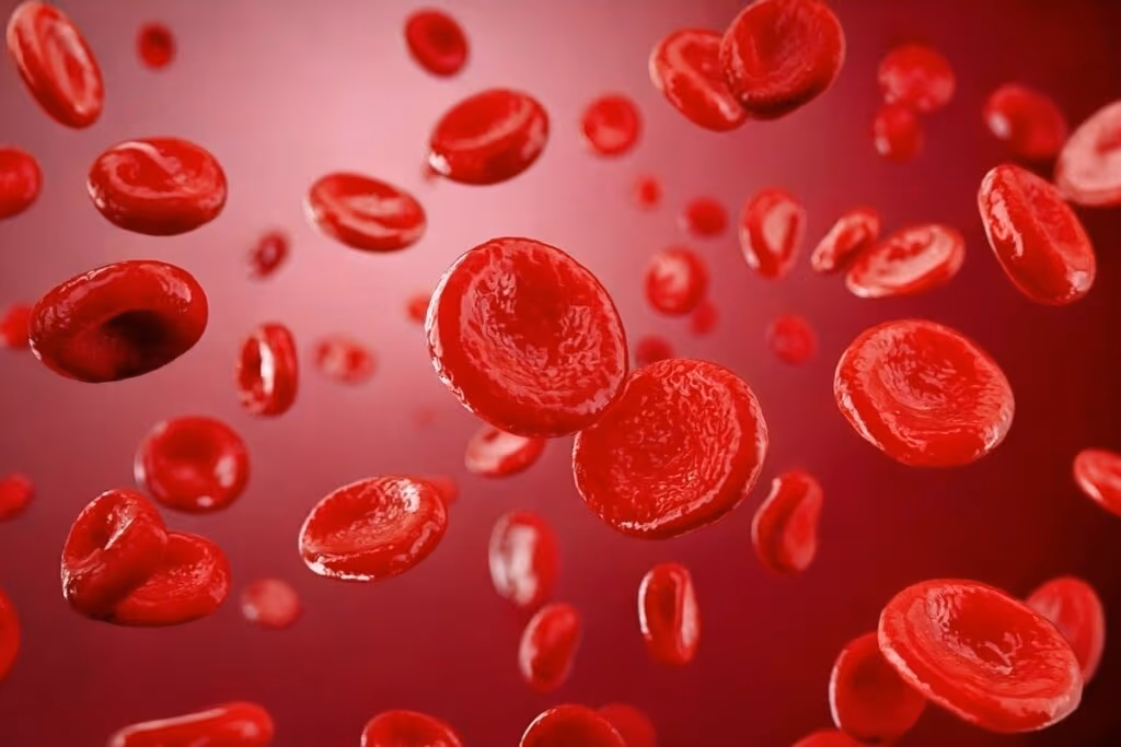 5 mitos e verdades sobre a leucemia