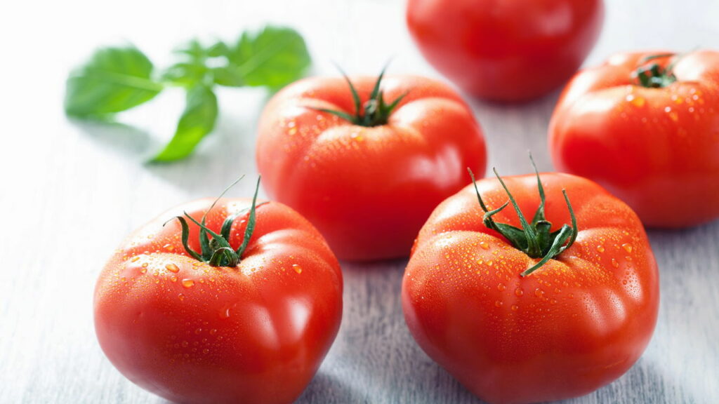 Os tomates sobrevivem melhor em temperatura ambiente - Créditos: depositphotos.com / duskbabe